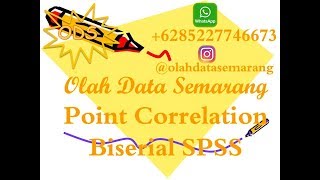 Point Correlation Biserial SPSS [upl. by Euqinobe355]