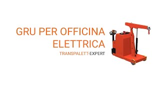 Gru per officina elettrica  transpalletexpertit [upl. by Valenza]