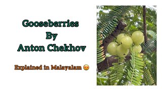 Gooseberries by Anton Chekhovshortstory gooseberries plusoneenglish malayalamexplanation [upl. by Conners]