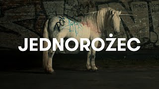 Sokół  Jednorożec Official Video [upl. by Icrad588]