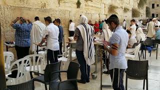 Davening at the Western Wall [upl. by Ariane]