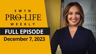 LIVE EWTN ProLife Weekly  December 7 2023 [upl. by Enovahs238]