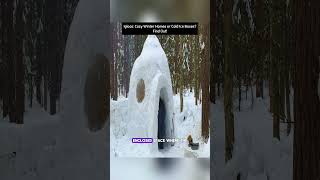 Igloos Cozy Winter Homes or Cold Ice Boxes Find Out [upl. by Lenor]