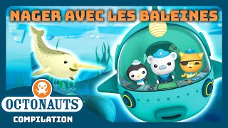 Octonauts  🤿 Nager avec les baleines 🐋  Journée mondiale de la baleine  Compilation [upl. by O'Donnell]