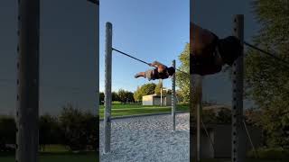 HEFESTO STYLE calisthenics motivation streetworkout insane planchebicepsworkout [upl. by Nylloh]