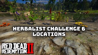 Pick 15 Different Species of Herb in Red Dead Redemption 2 Herbalist 6 Challenge [upl. by Selinski]