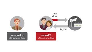 Brown v Lober Case Brief Summary  Law Case Explained [upl. by Dewees]