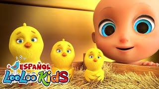 Los Pollitos 🐔 Canta y Aprende Videos para Niños en Español [upl. by Weisbart636]