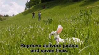 Come Little Rabbit by Akmal Shaikh mentally ill Briton facing death in China [upl. by Odnumyar508]