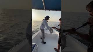 fishing microjigging jigging tightlines stormfishing shimanofishing fishinguae [upl. by Drucie]