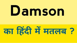 Damson meaning in hindi  Damson ka matlab kya hota hai [upl. by Arivle]