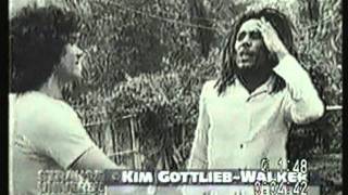 Who Killed Bob Marley Documentary  Strange Universe Documentary [upl. by Rebak]