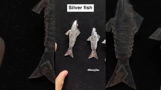 Silver fish cash on delivery available 919305083356 silveraglam silverjesilverfish silvertrends [upl. by Allveta]