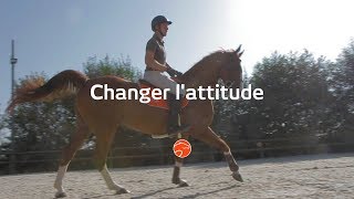 Exercice  Changer lattitude  Equisense [upl. by Janina]