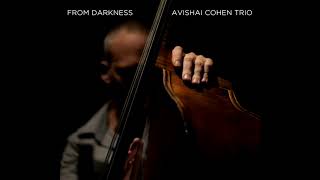 Avishai Cohen  Almah Sleeping [upl. by Warthman]