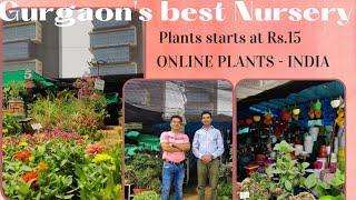 Cheapest Nursery in Gurgaon  Plants starts at Rs15  Online Plants in India  Durga Nursery Part1 [upl. by Kendell73]