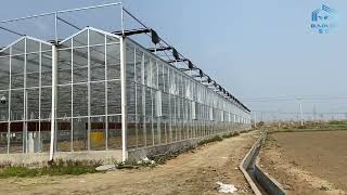 Vegetable Venlo Glass Greenhouse Fully Automated Ventilation [upl. by Joice882]