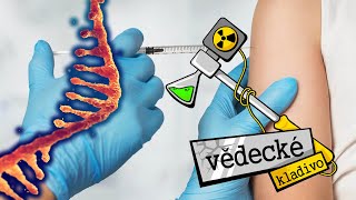 Jak funguje mRNA Covid19 vakcína  Vědecké kladivo [upl. by Ecela431]