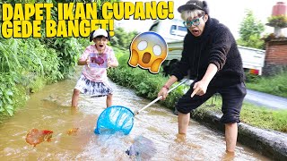 BERBURU IKAN CUPANG BESAR DI SALURAN PENGAIRAN YANG VIRAL TANGKEP SEMUA DAPET BANYAK BANGET [upl. by Arissa742]