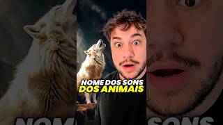 nome dos sons dos animais livedobrino humor MundinhoBrino [upl. by Debee902]