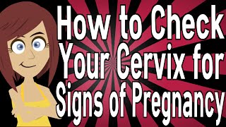 How to Check Your Cervix for Signs of Pregnancy [upl. by Plerre601]