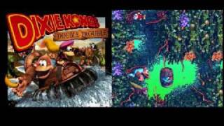 Donkey Kong Country 3  Water World Cover [upl. by Admama]