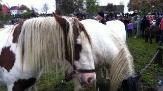 Ballinasloe Horse Fair 2012 [upl. by Yecnuahc]