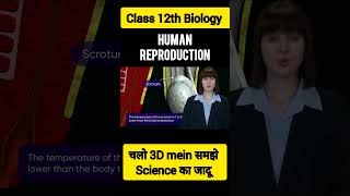 Class 12 Biology Human Reproduction✅ NCERT Complete Guide for Students Shorts🔥 [upl. by Elgar371]