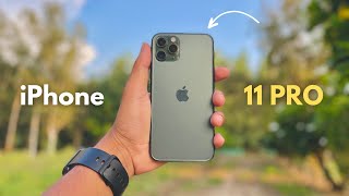 iPhone 11 pro camera test in 2023  detail camera review  devhr71 [upl. by Olemrac]