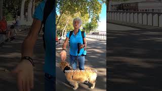 Il Cane che Mi Salva la Vita La Storia di un Eroe a Quattro Zampe storiedivita curadelcane [upl. by Gusba]