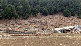 SUR LA ROUTE  SOURCES DE LOUM ERRBIA VERS LA ROUTE DES CÈDRES  MAROC  PART 2 [upl. by Lednem]