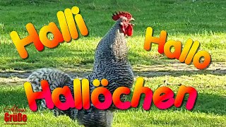 Guten Morgen Grüße☕🌞Tierische Guten Morgen Grüße 🐓 [upl. by Aneleh]