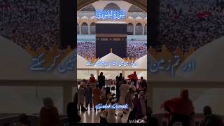 Surah AshShura Ayat 293031 Urdu Translation shorts surahashshura [upl. by Dickinson]