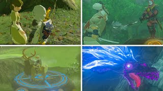 Zelda Breath of the Wild  All 42 Shrine Quests [upl. by Aeuhsoj]