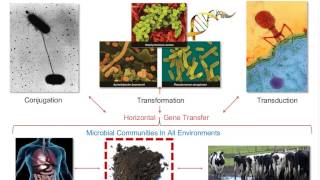 Metagenomics Microbiomes and ModelsOh My [upl. by Atiuqahs]