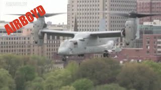 Boeing V22 Osprey Landing On Boston Commons [upl. by Flowers]