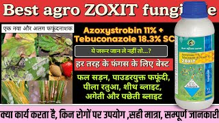 Zoxit fungicide best agro zoxit fungicide Azoxistrobin 11  Tebuconazole 183SC best fungicide [upl. by Annawd]