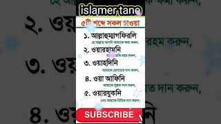 islamer tane। islamic song youtubeshorts love islamicmusic trending motivation islamicgojol [upl. by Novad]