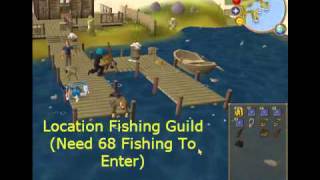 99 Fishing Guide For Level 3 Skillers F2P and P2P [upl. by Nyledaj]