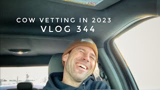 Cow Vetting in 2023 vlog 343 [upl. by Fablan617]