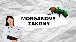 GENETIKA  Morganovy zákony [upl. by Gastineau258]