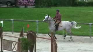 ♥ Dame Blanche Van Arenberg jumping horse by Clinton [upl. by Sorips]