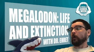 Megalodon Life and Extinction with Dr Ehret [upl. by Ramuk308]