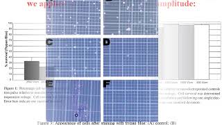 Introduction of Electroporation [upl. by Bilek126]