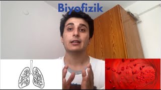 Tıp Fakültesi 1 Sınıf Dersleri Tıp Fakültesine Hoşgeldiniz [upl. by Ateikan]