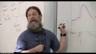 Sapolsky  Dopamine Anticipation amp Relationships [upl. by Ojybbob]