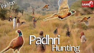 Pheasant amp Chukar Hunt In Padhri Game Reserve Pakistan  2020 Season Recap [upl. by Narret648]