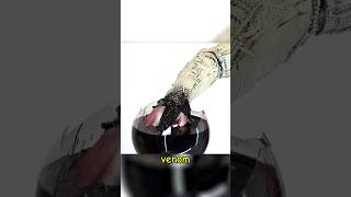 Esse Youtuber Criou uma Gosma que se Comporta como o Venom [upl. by Cerf]