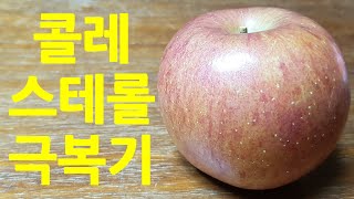 콜레스테롤낮추는음식 무설탕 사과효소만드는법 콜레스테롤 나추는방법 [upl. by Ahsiled935]