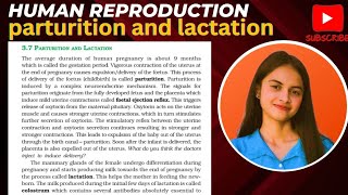 parturition and lactation class12biology humanreproduction [upl. by Entirb56]